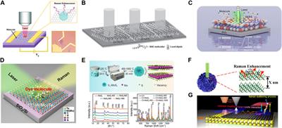 Interface engineering in 2D materials for SERS sensing